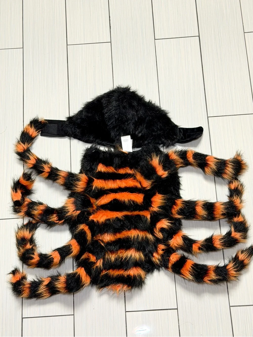 Skull & Bones Spooky Spider Dog Pet Halloween Costume – Size L
